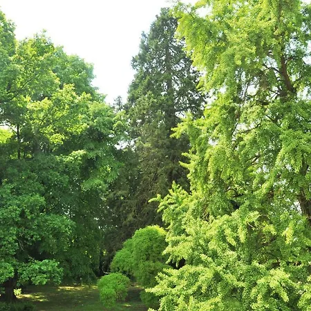 Le Manoir De Bellacordelle 4* Riviere (Pas-de-Calais)